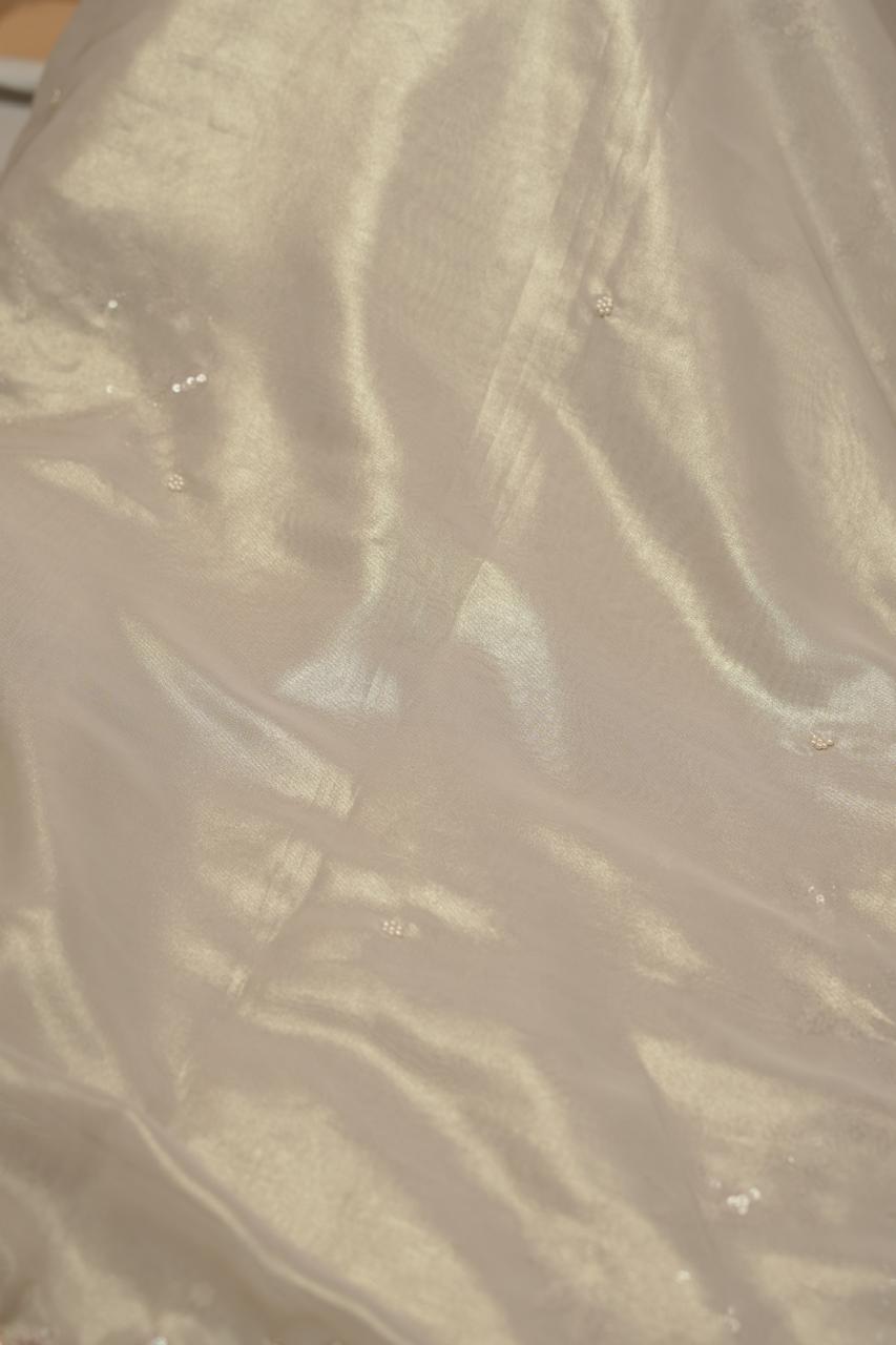 Tissue  Saree TSA5490