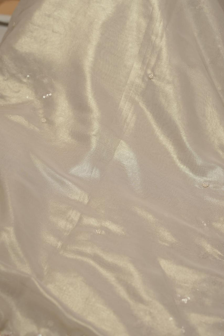 Tissue  Saree TSA5490