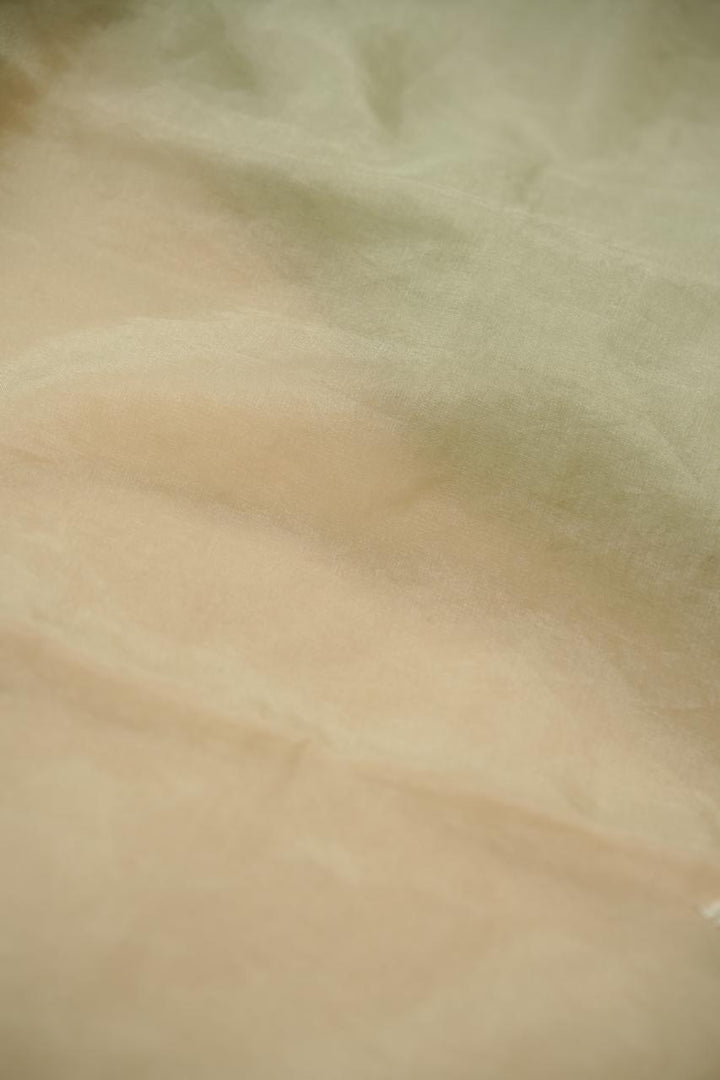 Turkish Organza Salwar TSS5498