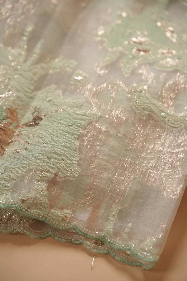 Turkish Organza Salwar TSS5498