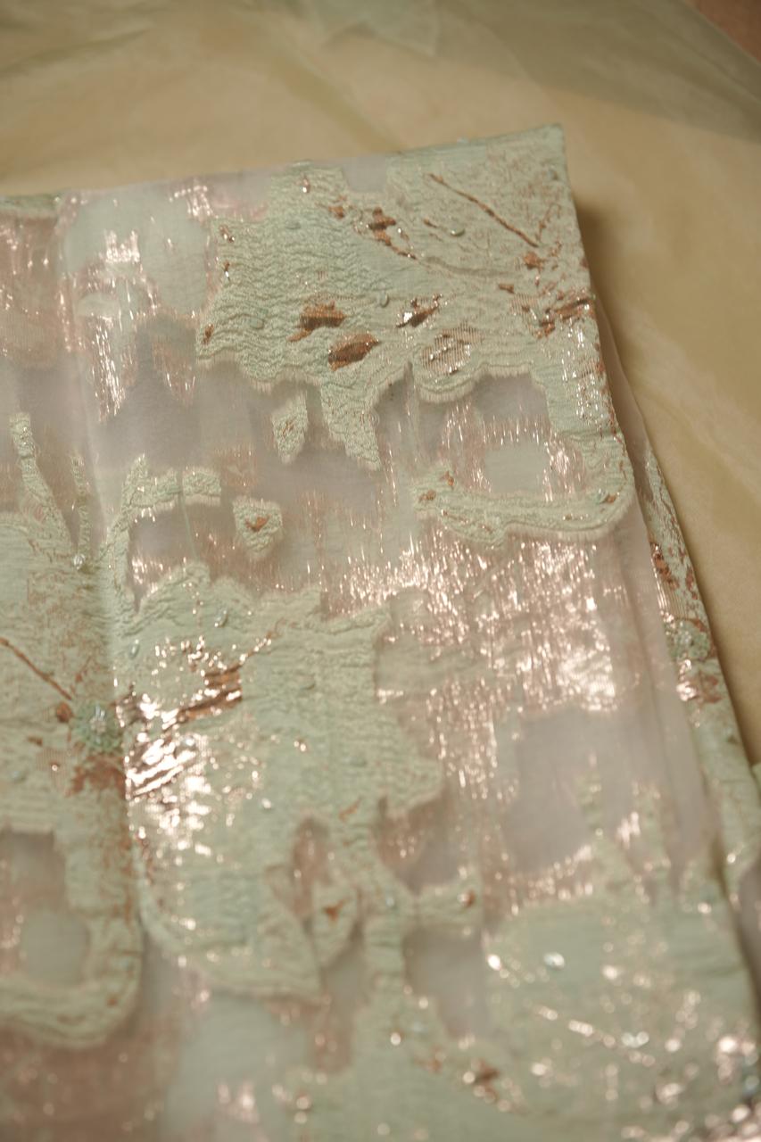 Turkish Organza Salwar TSS5498