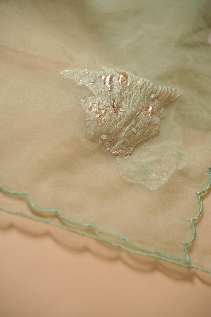 Turkish Organza Salwar TSS5498