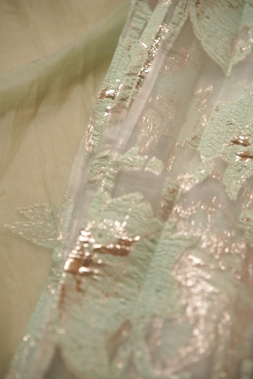 Turkish Organza Salwar TSS5498