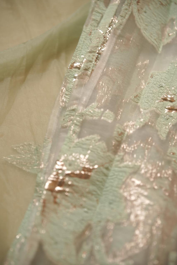 Turkish Organza Salwar TSS5498
