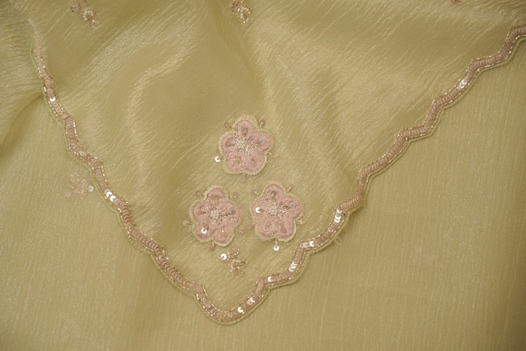 Crushed Tissue Saree TSA5509