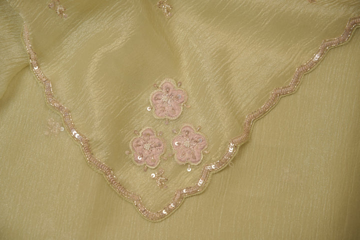 Crushed Tissue Saree TSA5509