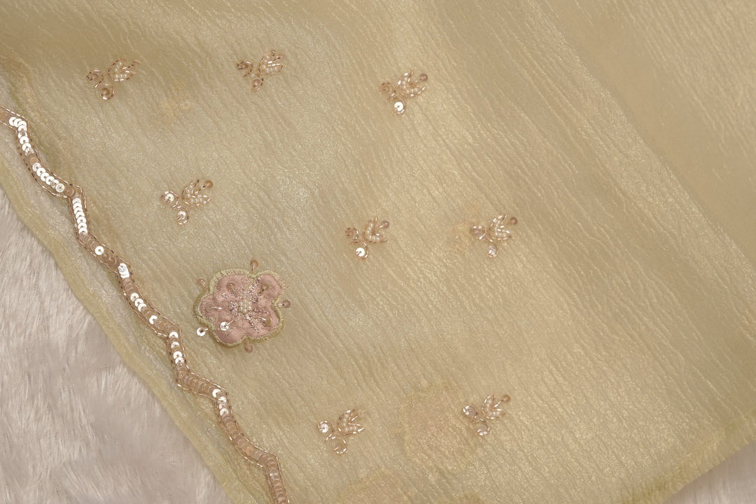 Crushed Tissue Saree TSA5509