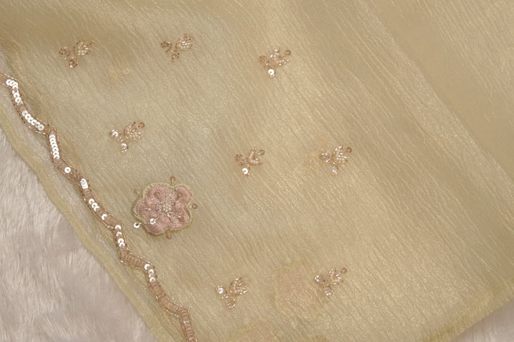 Crushed Tissue Saree TSA5509