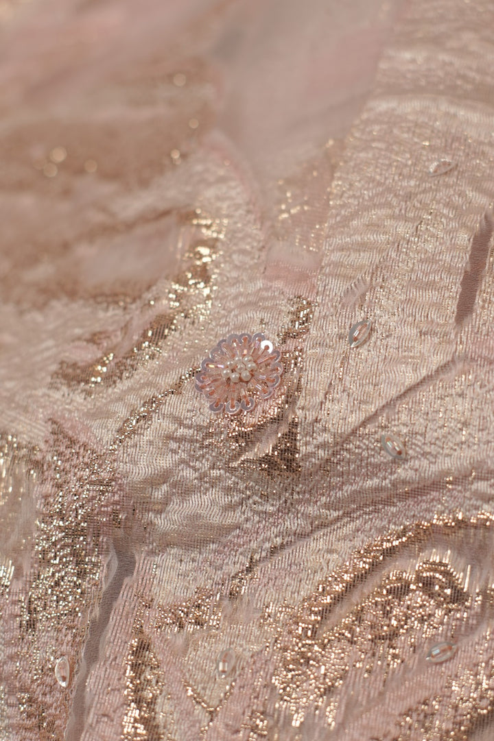 Turkish Organza Salwar TSS5512
