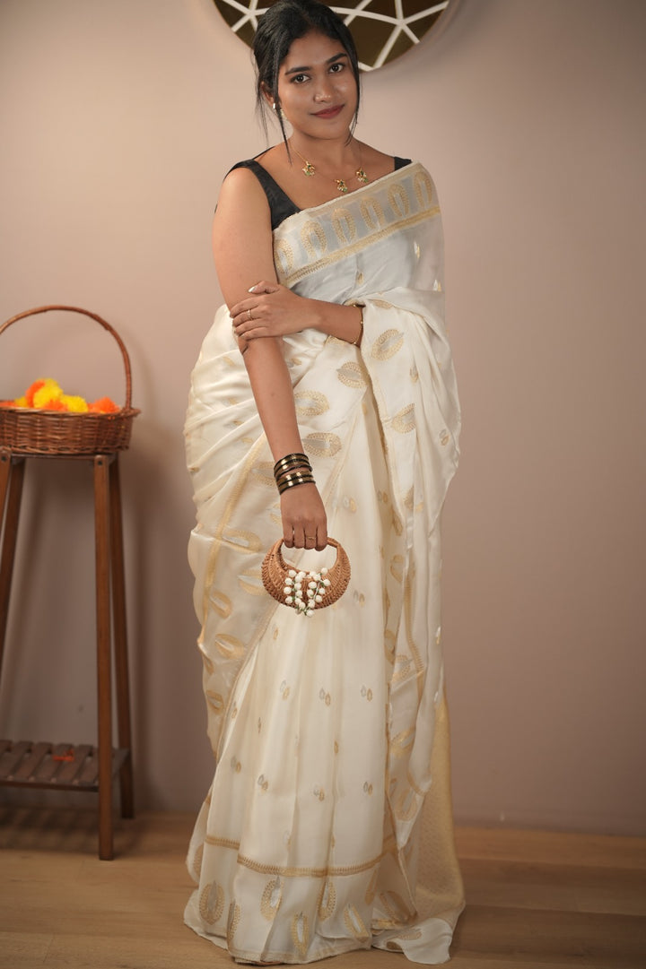 Satin Organza Saree TSA5513