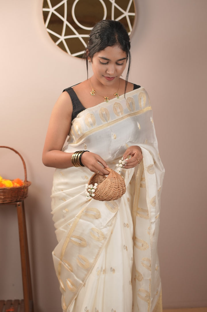 Satin Organza Saree TSA5513