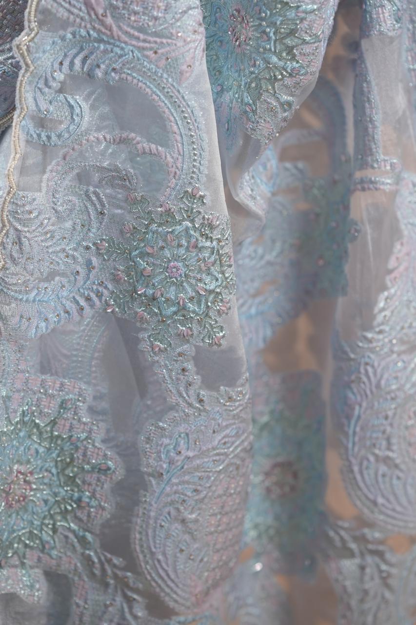 Turkish Organza Saree TSA5536