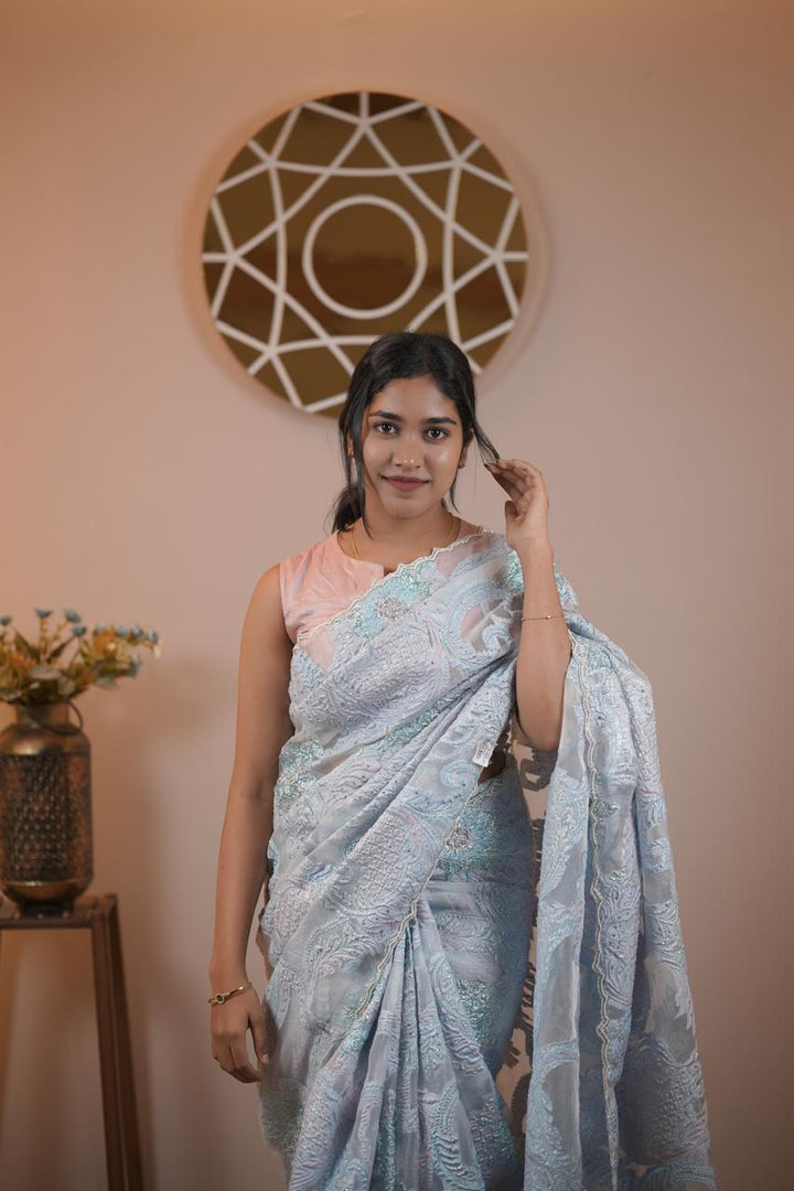 Turkish Organza Saree TSA5536