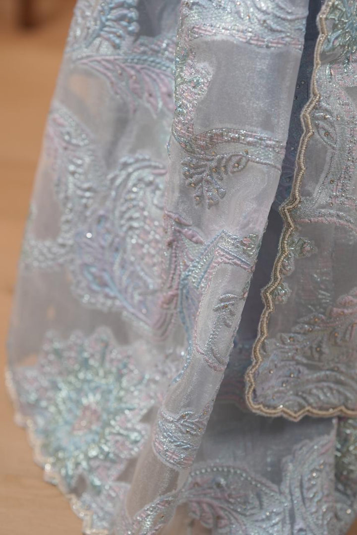 Turkish Organza Saree TSA5536