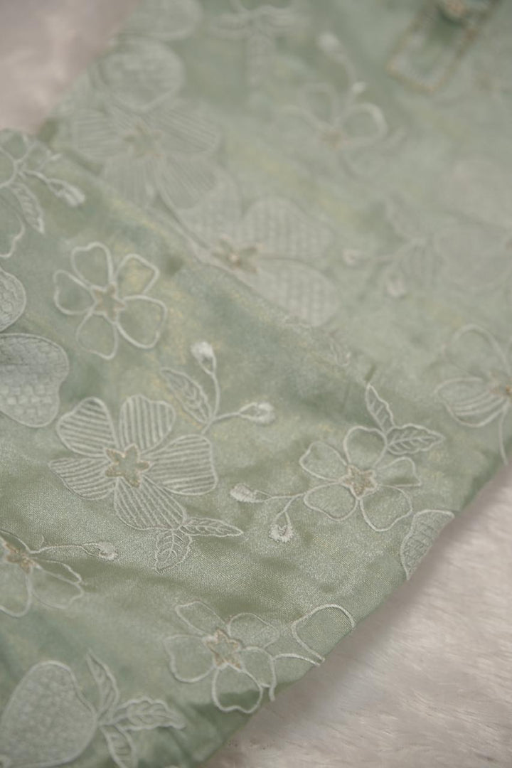 Raina Net Salwar TSS5537