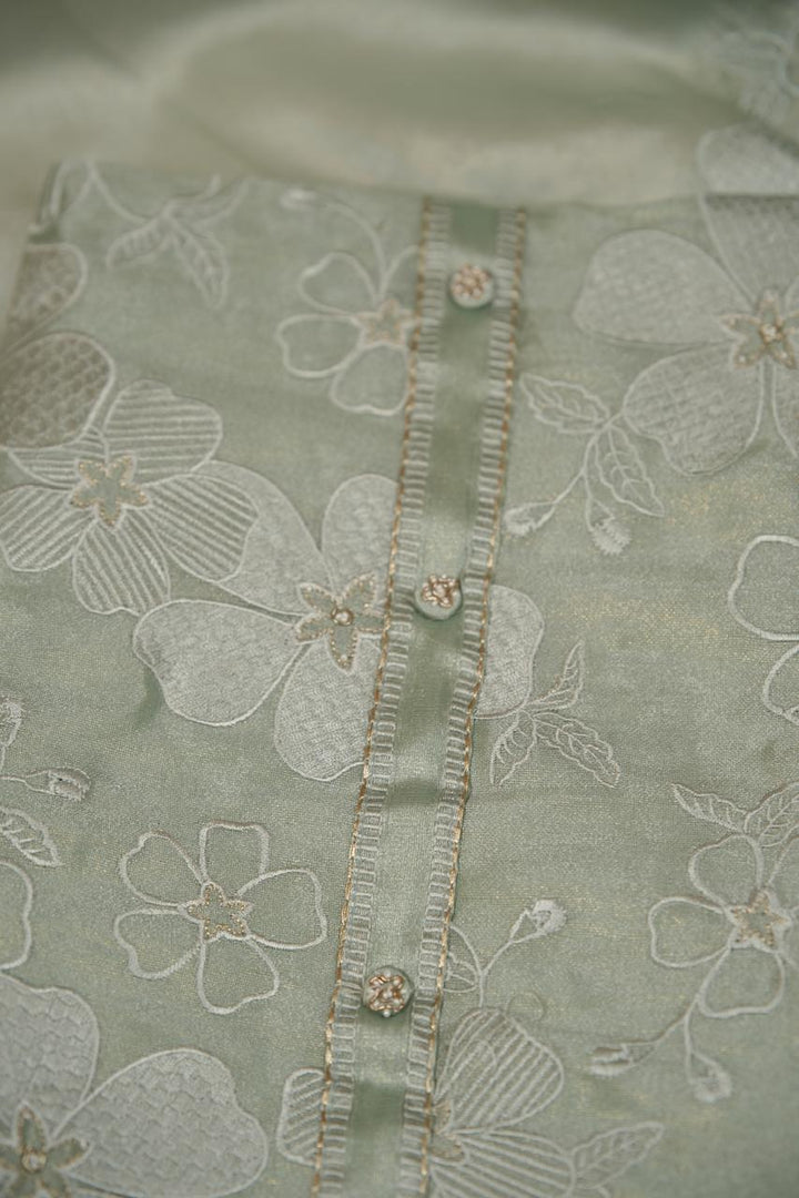 Raina Net Salwar TSS5537