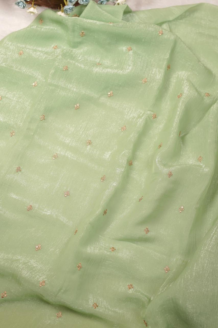 Crushed Organza Salwar TSS5539