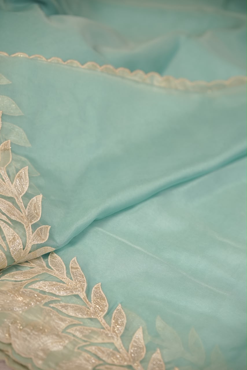 Organza Saree TSA5541