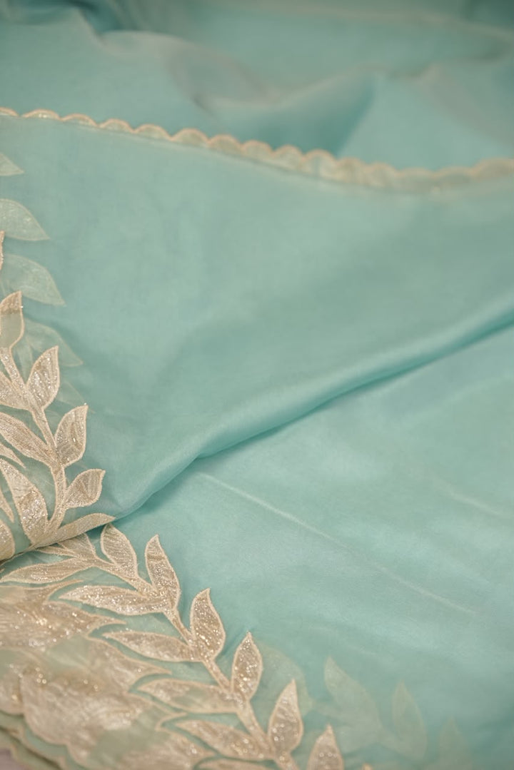 Organza Saree TSA5541