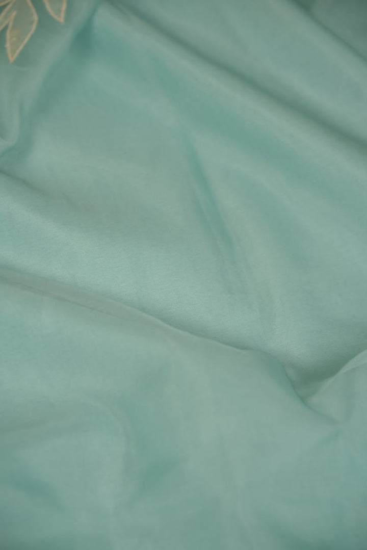 Organza Saree TSA5541