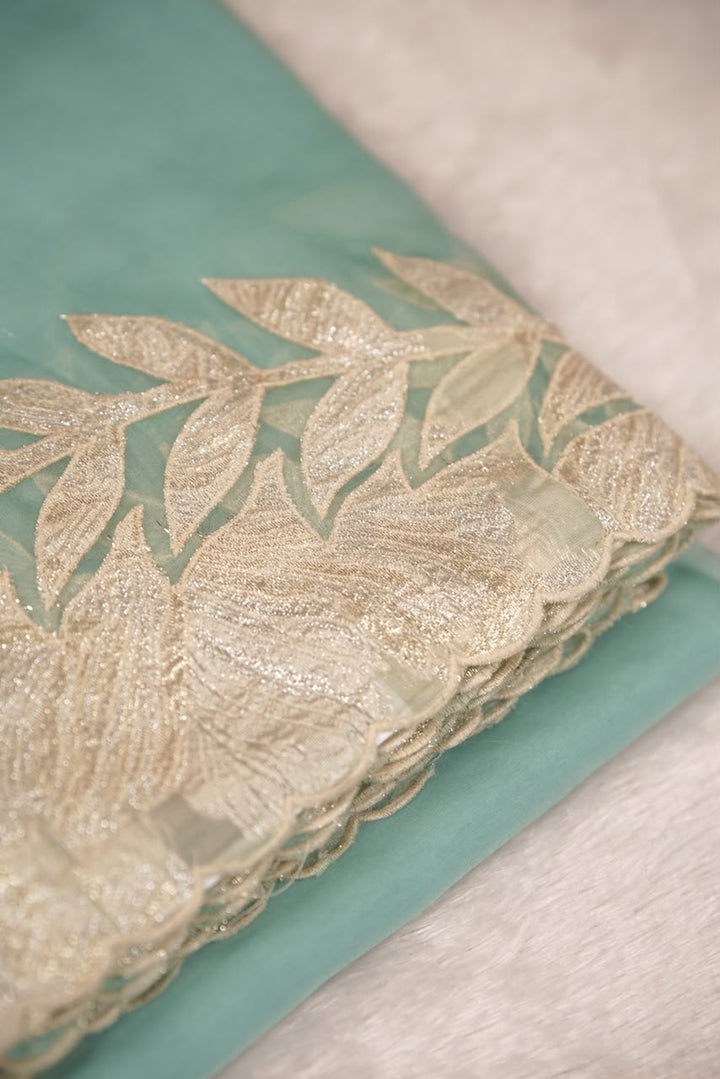 Organza Saree TSA5541