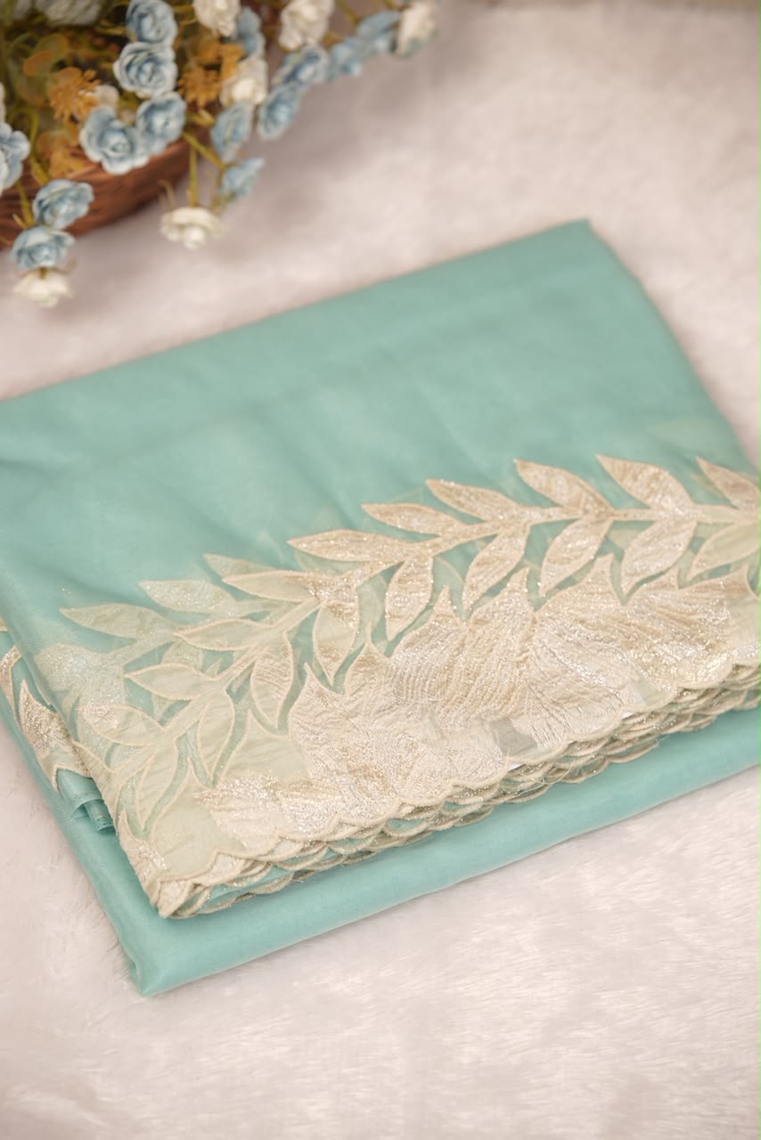 Organza Saree TSA5541