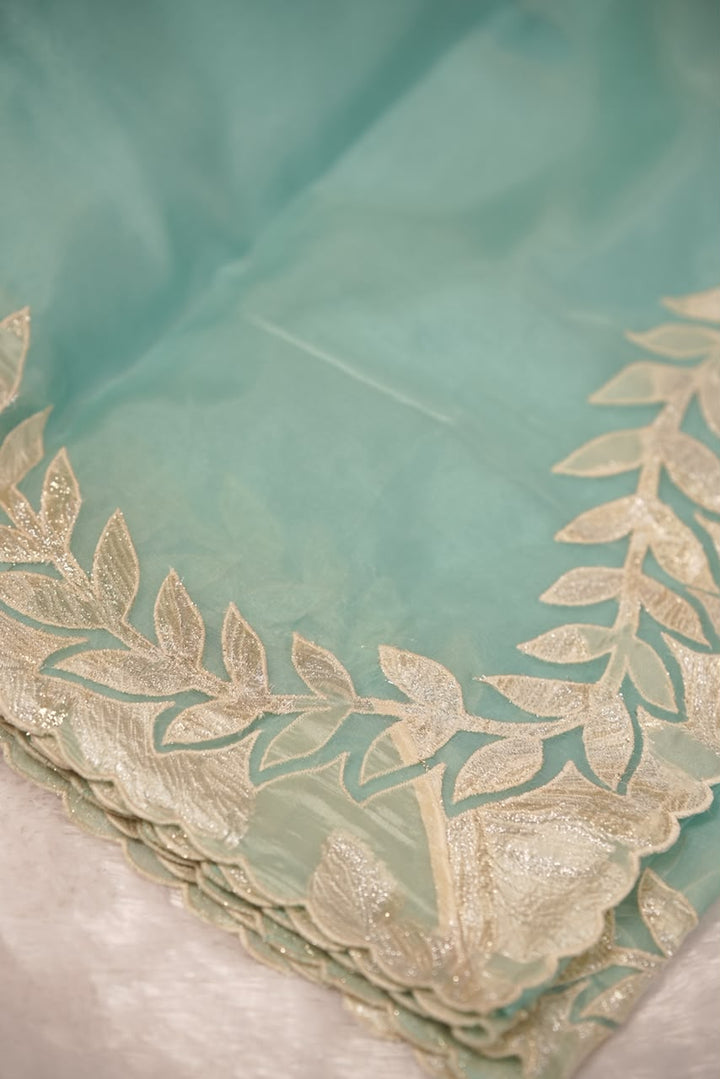 Organza Saree TSA5541