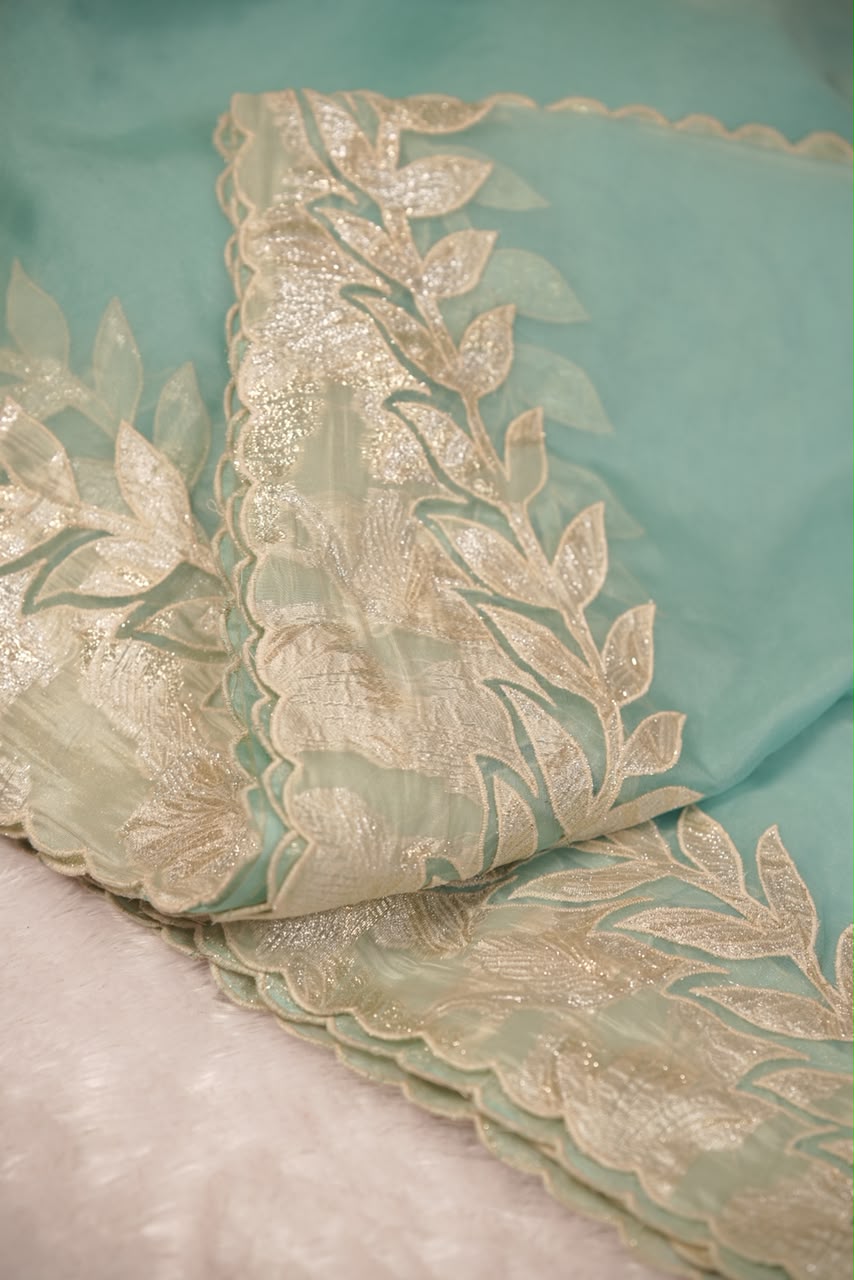 Organza Saree TSA5541