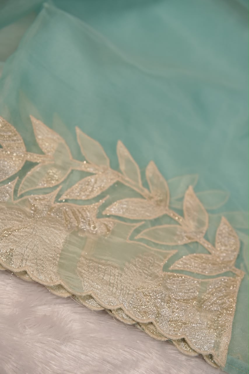 Organza Saree TSA5541