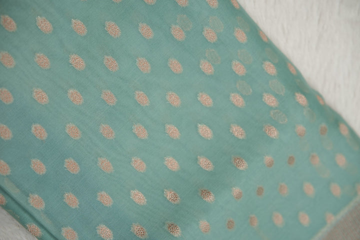 Banarasi Organza Saree TSA5549