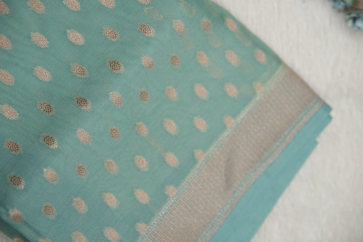 Banarasi Organza Saree TSA5549