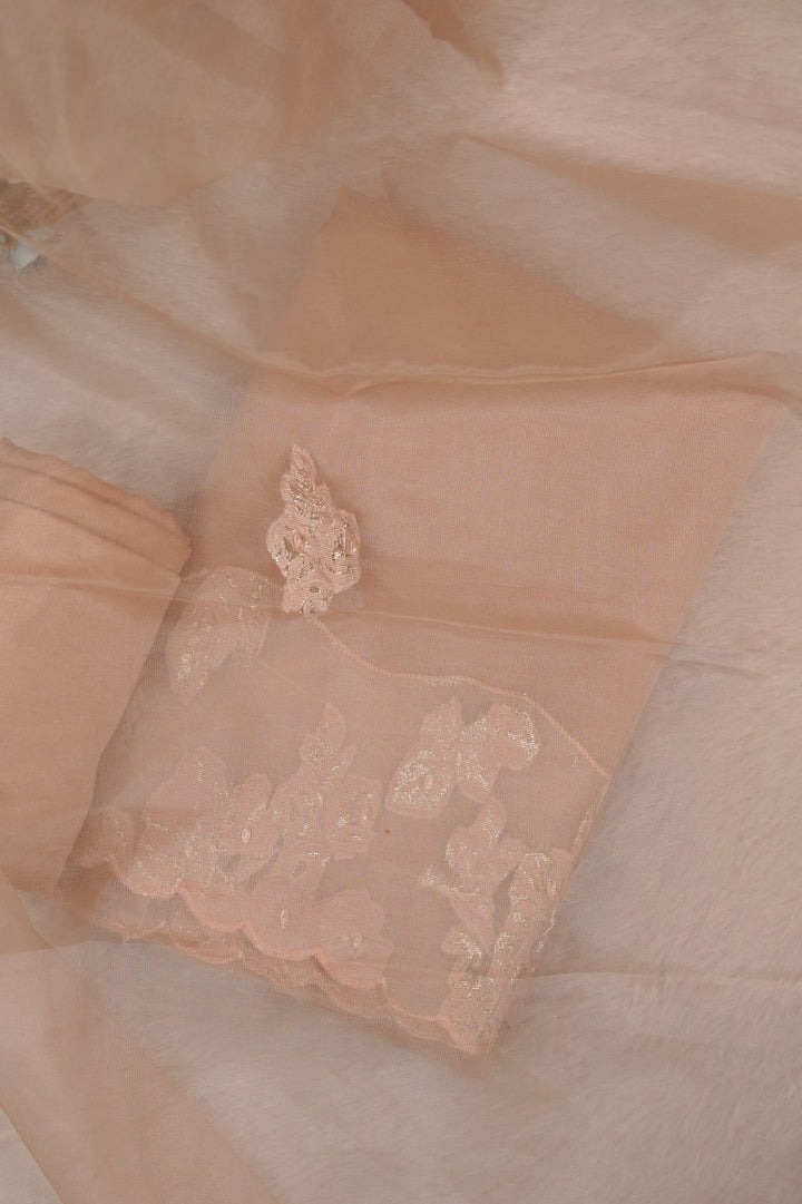 Nylon Organza Salwar TSS5573