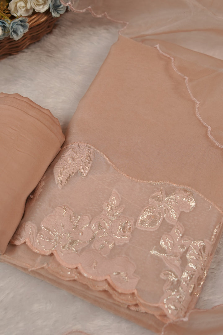 Nylon Organza Salwar TSS5573