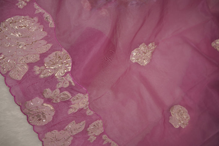 Nylon Organza Salwar TSS5573