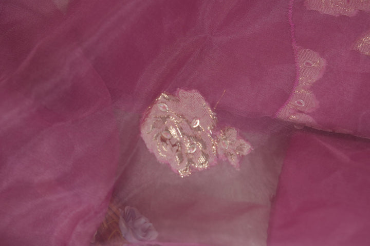 Nylon Organza Salwar TSS5573
