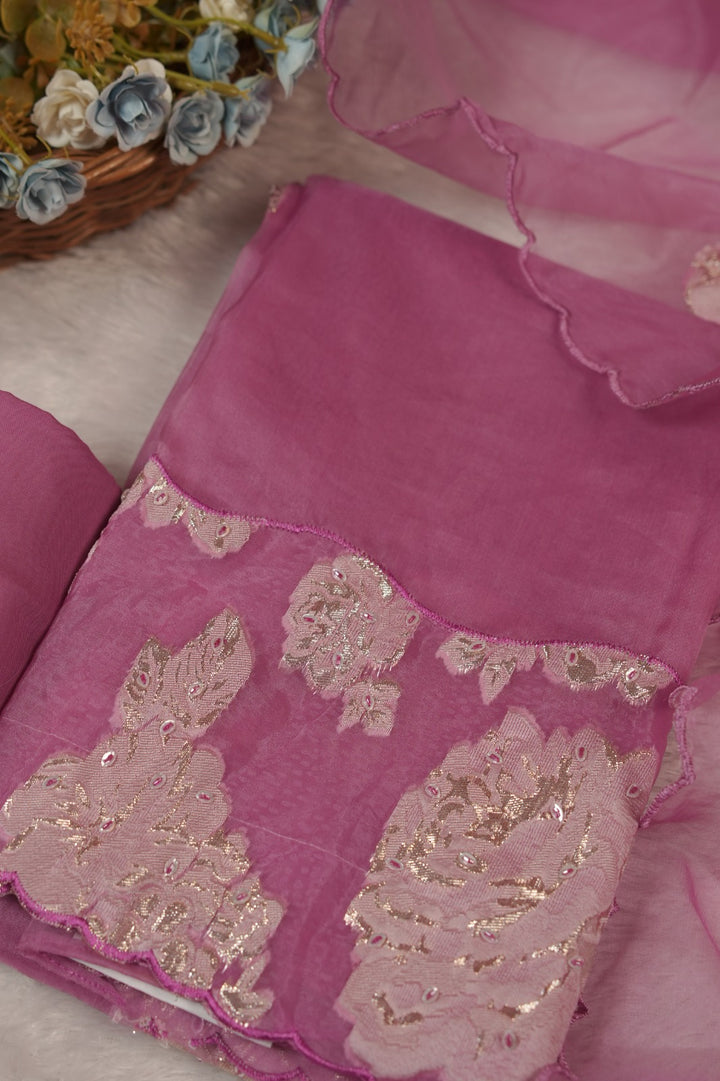 Nylon Organza Salwar TSS5573