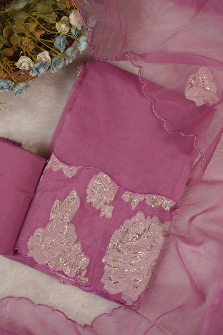 Nylon Organza Salwar TSS5573