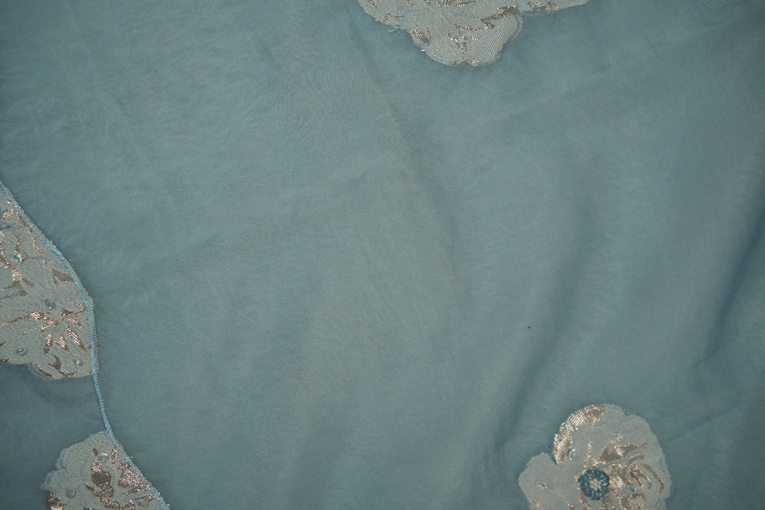 Nylon Organza Salwar TSS5573