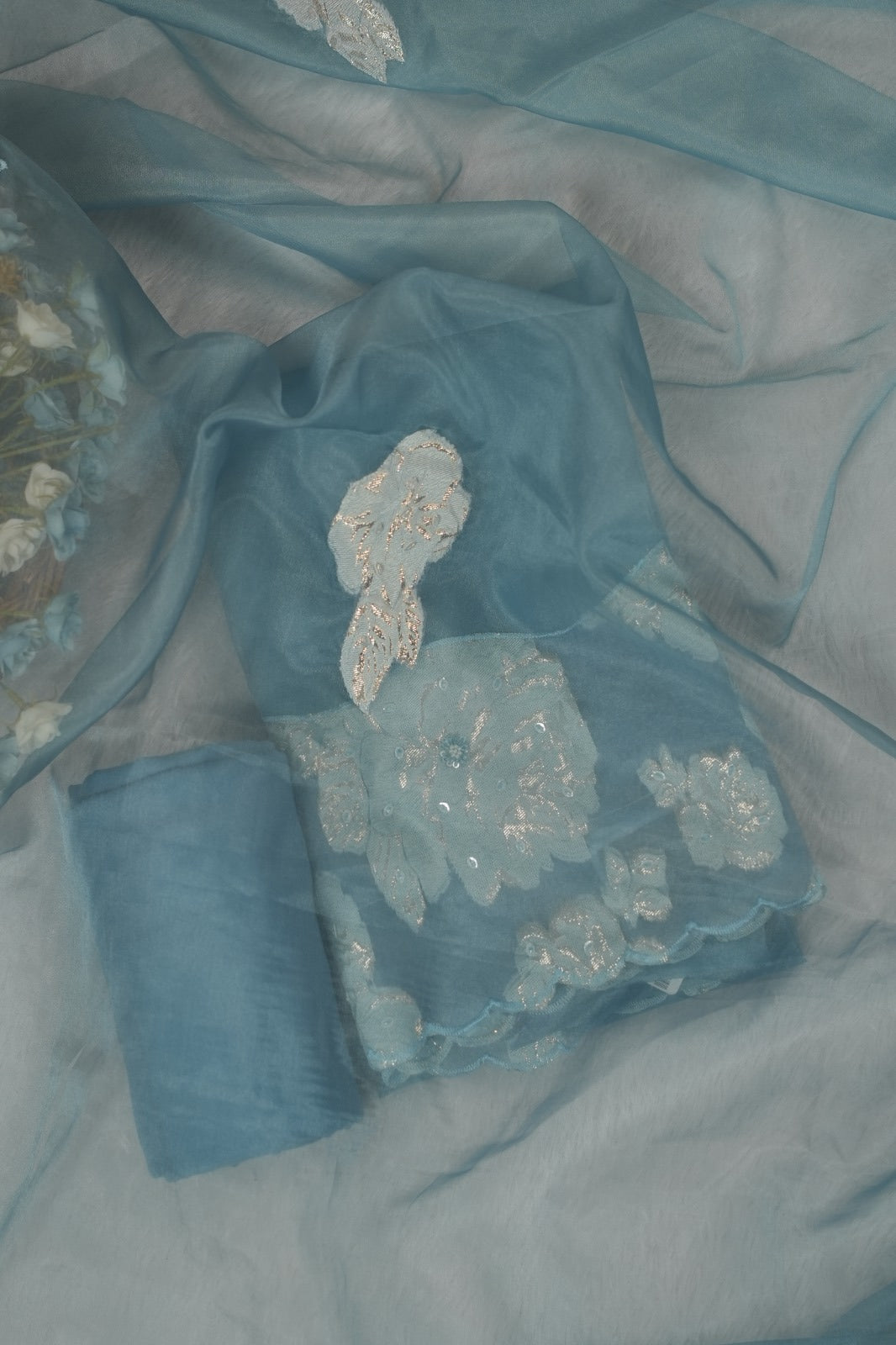 Nylon Organza Salwar TSS5573