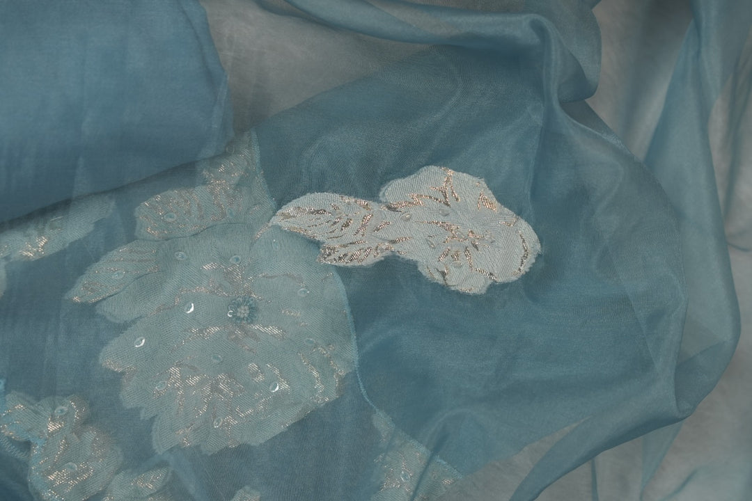 Nylon Organza Salwar TSS5573