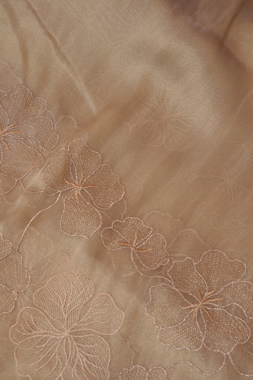 Organza Saree TSA5579