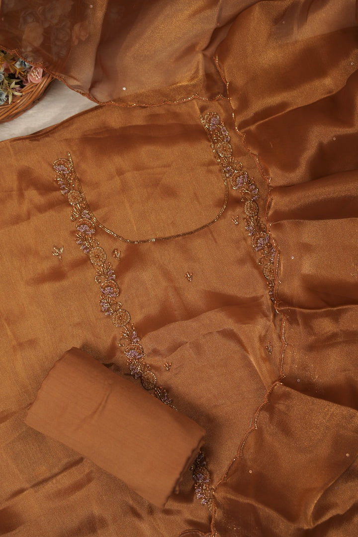 Tissue Organza Salwar TSS5589