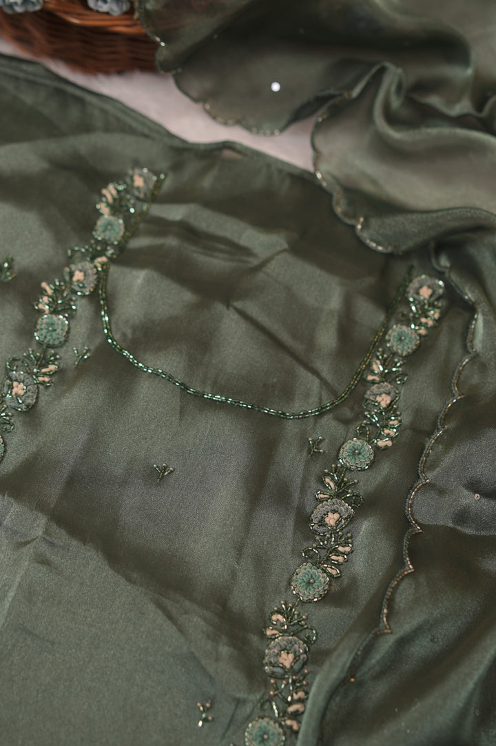 Tissue Organza Salwar TSS5589
