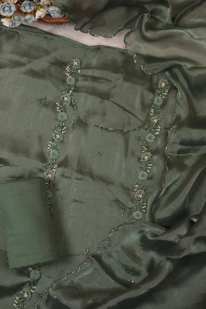 Tissue Organza Salwar TSS5589