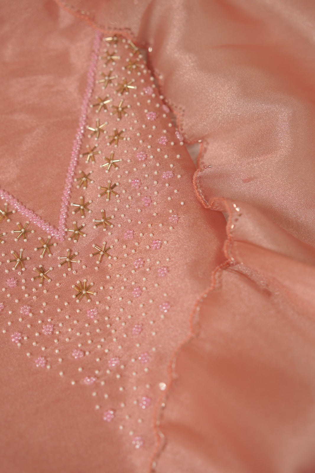 Tissue Organza Salwar TSS5592