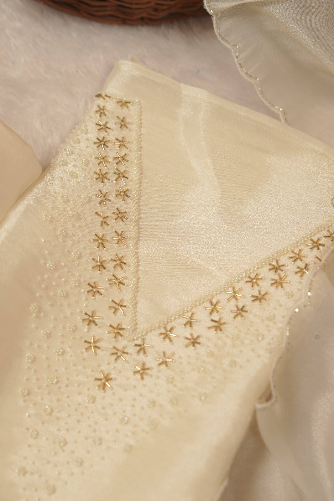 Tissue Organza Salwar TSS5592