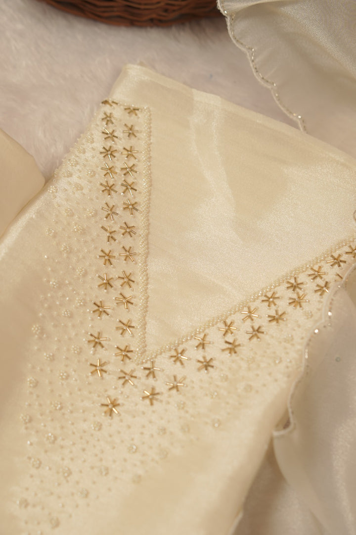 Tissue Organza Salwar TSS5592