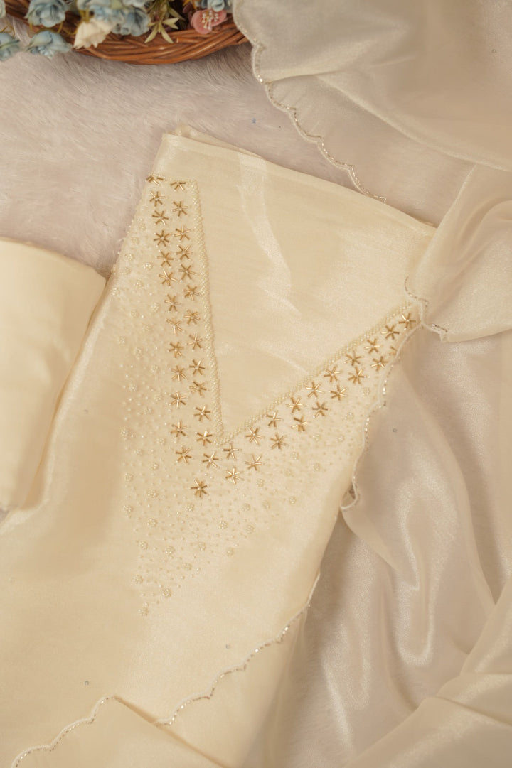 Tissue Organza Salwar TSS5592