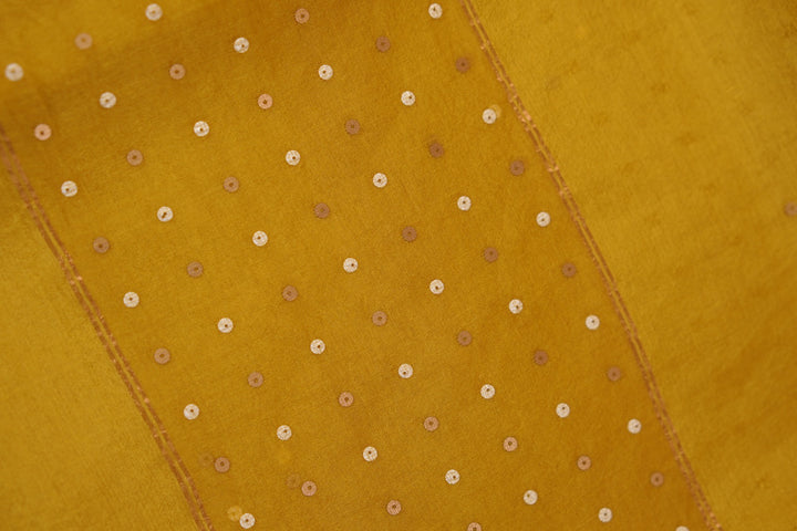 Tussar Organza Salwar TSS5599