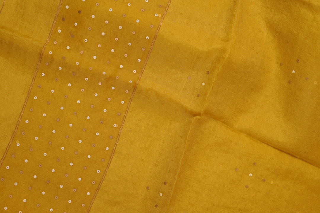 Tussar Organza Salwar TSS5599